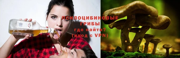 COCAINE Абаза