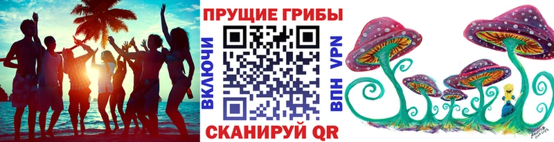 магазин    Черемхово  Псилоцибиновые грибы Magic Shrooms 